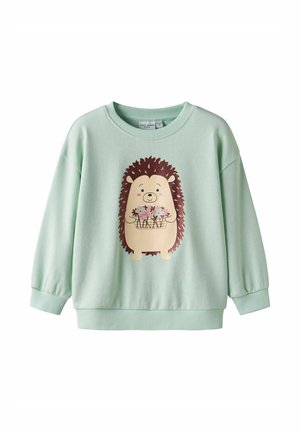 Lichtgroene kindersweatshirt met een glimlachende egel die roze bloemen in een mand vasthoudt, bedrukt op de voorkant.