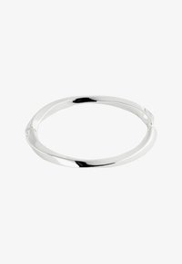 Pasirinkta, silver tone