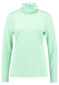 Mintgrön långärmad polokrage i slät tyg. Har en draperad krage och åtsittande ärmar med en subtil stretch.