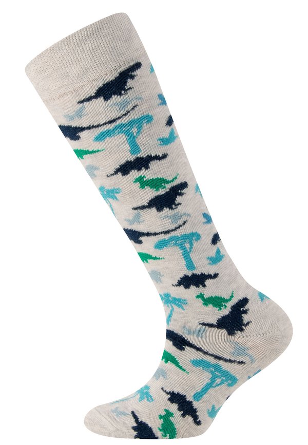 DINOS - Kniestrümpfe - hellsilber meliert