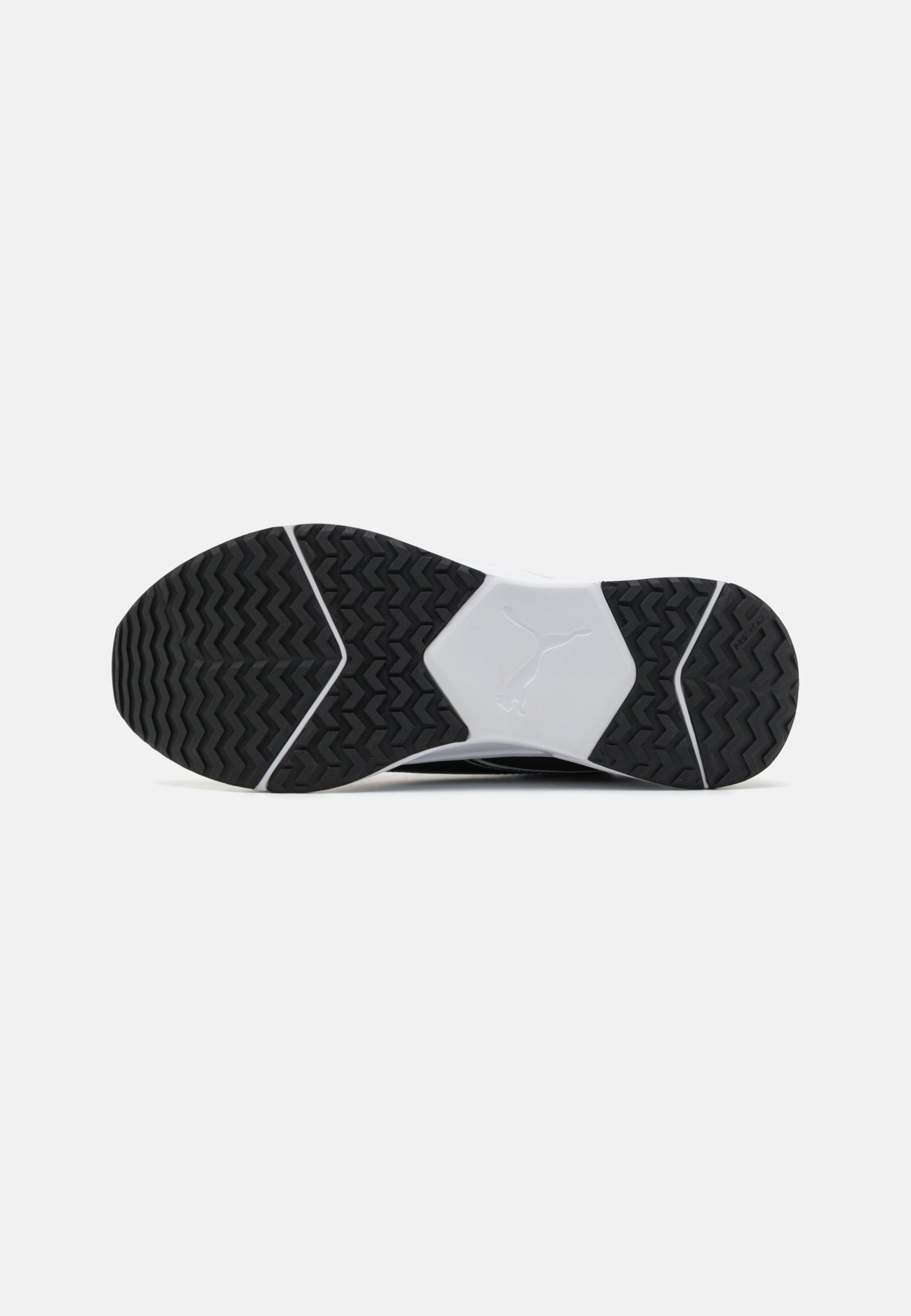 DISPERSE XT 4