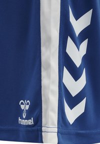 Blå sportströja med vita chevronaccent på sidorna. Materialet verkar slätt med en subtil glans. Logotypen är placerad längst ner.