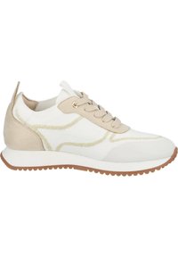 Beige und weiße Sneaker mit einem strukturierten Strickobermaterial, Wildlederelementen, goldenen Details und Gummisohle. Mit einem Schnürdesign vorne.