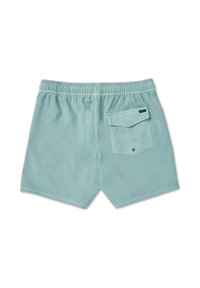 Hellblaue Badeshorts mit elastischem Bund, einer einzelnen Gesäßtasche und flachen Nähten. Hergestellt aus weichem, synthetischem Material.