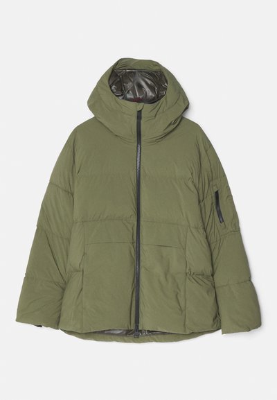 Dondup PUFFY JACKET  - Žieminė striukė - forest green