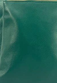 Groene leren tas met een gladde textuur en een metallic gouden rits. Heeft een minimalistisch ontwerp met afgeronde hoeken en geen zichtbare patronen.