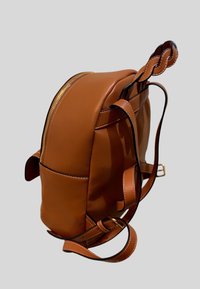 Zaino in pelle marrone con una textura liscia, forma curvata, zip dorata e manico superiore intrecciato; dotato di spallacci regolabili.
