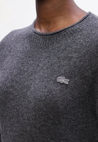 Gros plan d'une personne portant un pull ras du cou gris avec un petit logo crocodile brodé sur la poitrine.
