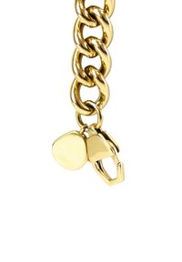 Gouden metalen ketting met grote, ronde schakels, voorzien van een sluiting en een ronde label. Gladde textuur met een glanzende afwerking.