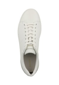 Zapatilla blanca con una parte superior de cuero suave, cordones planos, puntera redondeada y sutiles logotipos dorados. La suela es ligeramente texturizada para mayor agarre.