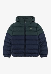 Lacoste PUFFER - Casaco de inverno - sinople