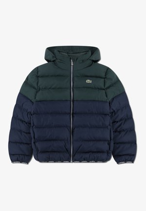 Lacoste PUFFER - Winterjacke - sinople
