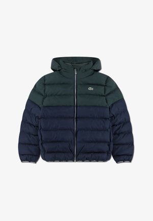 Lacoste PUFFER - Χειμωνιάτικο μπουφάν - sinople