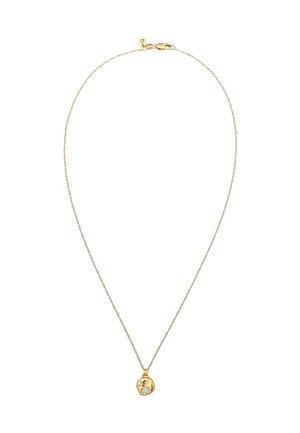 VIVID SPARKLING PLATE - Halskæder - gold-coloured