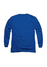 Langärmliges Hemd aus einfarbigem blauen Stoff. Mit Rundhalsausschnitt und lockerer Passform. Glatte Textur ohne sichtbare Muster oder Akzente.