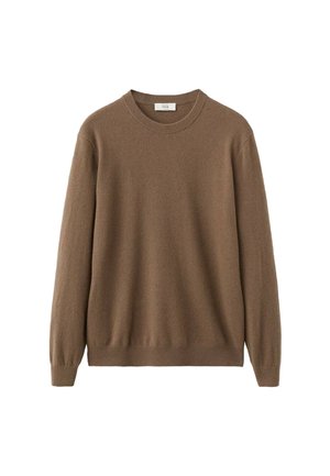 Brauner, gestrickter Pullover aus weichem Material, mit Rundhalsausschnitt, langen Ärmeln und einem entspannten Schnitt ohne sichtbare Muster oder Beschläge.