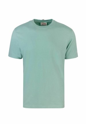 T-shirt in cotone verde menta, maniche corte, scollatura rotonda, texture liscia, senza motivi o grafiche, design casual.