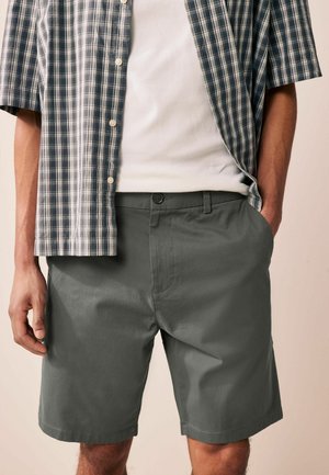 Grå shorts med sidfickor, slät textur och knappstängning. Kombinerat med en kortärmad blå och vit rutiga skjorta.