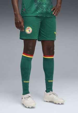Grüne Herren-Fußballshorts und -socken mit Logos der senegalesischen Mannschaft, kombiniert mit weißen Fußballschuhen vor neutralem Hintergrund.