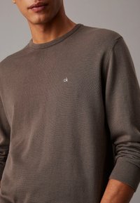 Maglione marrone realizzato in morbido tessuto, con scollatura a girocollo e polsini a costine. Piccolo logo bianco "ck" sul petto. Design semplice e aderente.