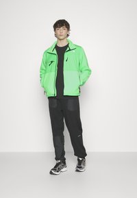 The North Face DENALI - Flisinė striukė - chlorophyll green
