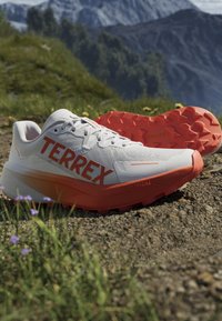 Hvide og orange Terrex trail løbesko på klippegrund med bjerge og græs i baggrunden.