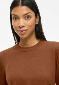 Pull en maille marron avec un col rond, présentant une texture lisse et des détails côtelés au niveau du col et des coutures des manches.