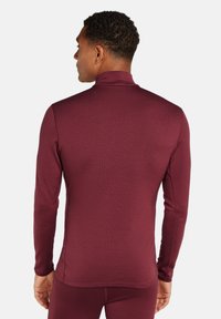 icebreaker MERINO 260 LS TURTLENECK - Strickpullover - port