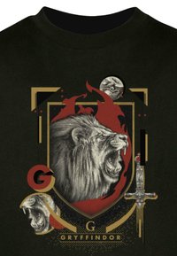 Melnā T-kreklā ar lauvas ilustrāciju pelēkā krāsā, ar sarkaniem un zeltītiem akcentiem, ko ieskauj ģeometriskas formas un vārds "GRYFFINDOR."