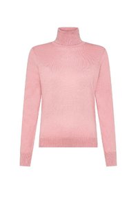 Maglione collo alto di un rosa pallido in morbido tessuto a maglia, con maniche lunghe, polsini a coste e orlo a coste. Design semplice e minimalista.