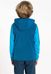 Kapuzenshirt mit einem blauen Oberteil und hellblauen Ärmeln. Hergestellt aus weichem Stoff mit lockerer Passform und elastischen Bündchen.