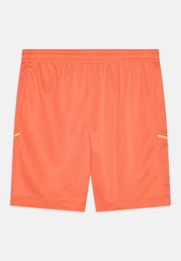 ERLING HAALAND SHORT UNISEX - Sports shorts - light wild mango2