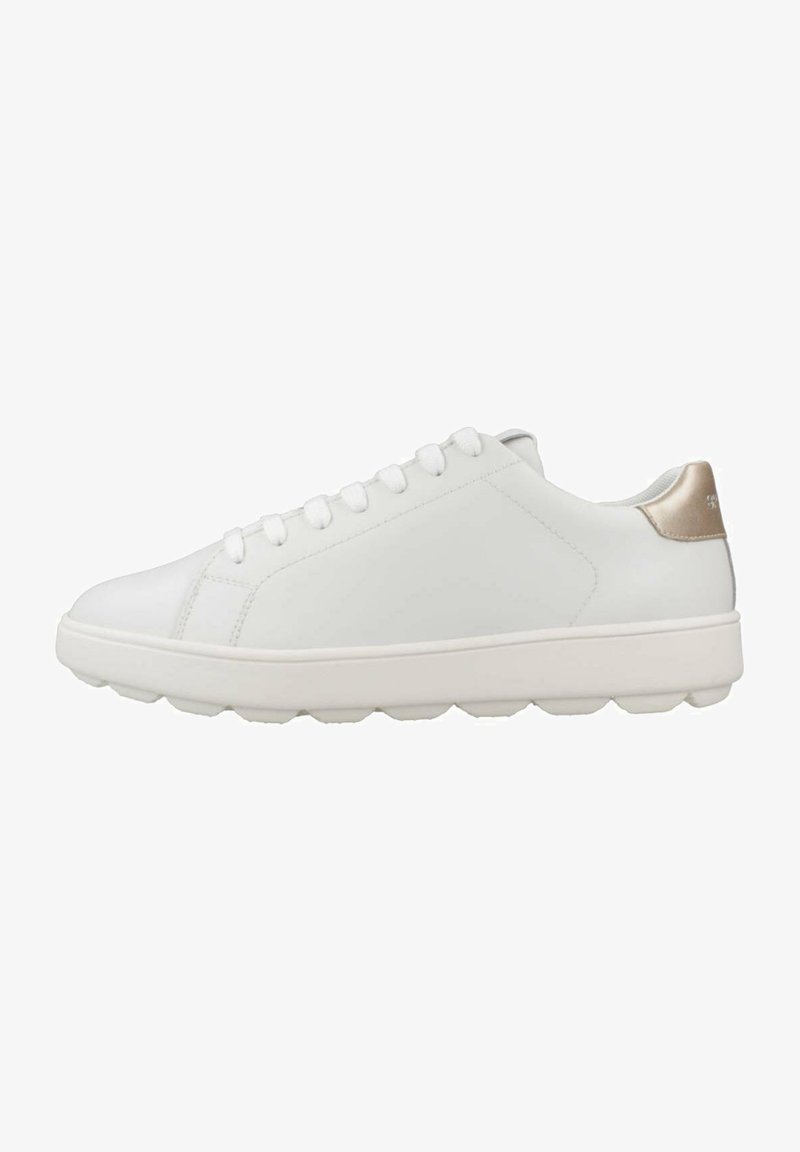 White leather sneaker with a smooth texture, rounded shape, and flat sole. Features a gold accent on the heel and six eyelet lace-up design.