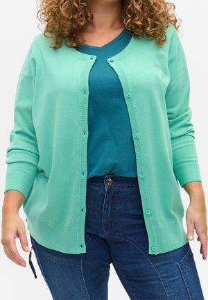 Femme portant un t-shirt col en V bleu sarcelle, un cardigan vert menthe boutonné et un jean bleu foncé, avec des cheveux bouclés visibles des épaules vers le bas.
