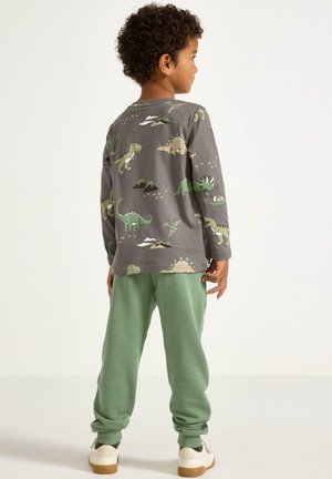 Šedé tričko s dlouhým rukávem s potiskem dinosaurů, doplněné zelenými tepláky. Tričko zdobí různé ilustrace dinosaurů a hor.