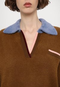 Personne portant un pull brun pelucheux avec un col doux bleu clair et des bordures roses et brun foncé autour du col en V et des manches.