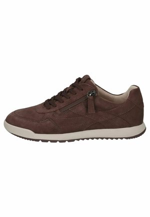 Caprice, SNEAKER - Baskets basses - dk brown suede