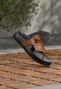 Επιλέχθηκε, brown