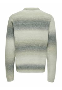 Maglione a righe verde chiaro e grigio con scollatura rotonda, maniche lunghe e un motivo a maglia testurizzato. Vista posteriore mostrata.