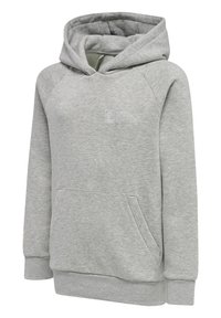 Grauer Hoodie mit verstellbarem Kapuzenzug, Fronttasche und geripptem Saum. Hergestellt aus weichem Stoff, verfügt er über Raglanärmel und ein gedrucktes Logo auf der Brust.