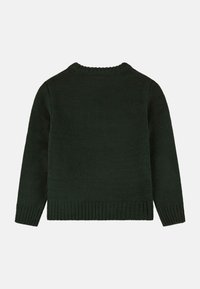 Maglione lavorato a maglia verde scuro con collo a giro, maniche lunghe e polsini e orlo a coste. Il tessuto appare morbido e testurizzato. Vista posteriore mostrata.