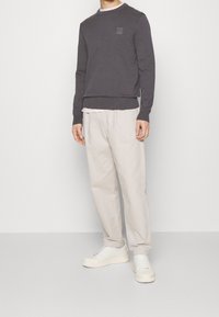 Grå crewneck-tröja med en liten logotyp på bröstet, i kombination med ljusbeige byxor och vita sneakers. Avslappnad passform med en mjuk textur.