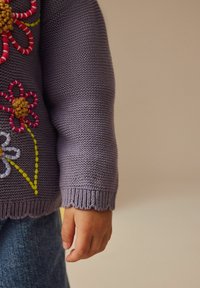 Next COLLAR EMBROIDERED - Kofta - blue