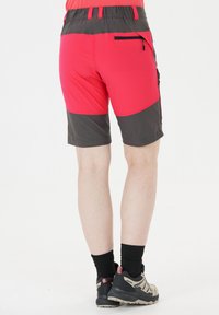 Whistler Friluftsshorts - grijs rood