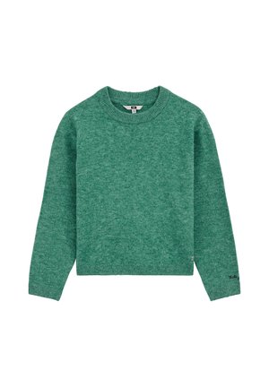 WE Fashion, WE FASHION - Pullover - green