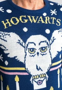 Maglione blu a maglia con un gufo bianco con ali, testo giallo "HOGWARTS" e elementi di design come punti bianchi e strisce rosa. Texture morbida.