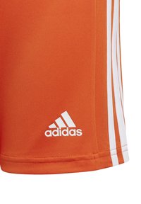 adidas Performance SQUADRA 21 Y - Korte sportsbukser - team orange/white