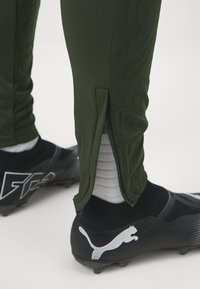 Puma BVB BORUSSIA DORTMUND TRAINING PANTS - Fanartikel - myrtle/yellow alert