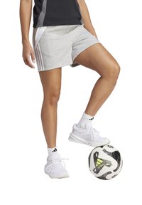adidas Performance TIRO 24 - Kurze Sporthose - grauweiss