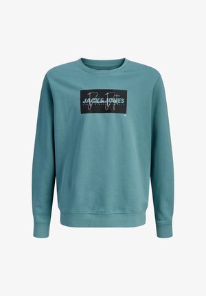 Sudadera de algodón verde con mangas largas. Presenta un gráfico rectangular negro con texto en blanco y azul en el frente. Diseño clásico de cuello redondo.